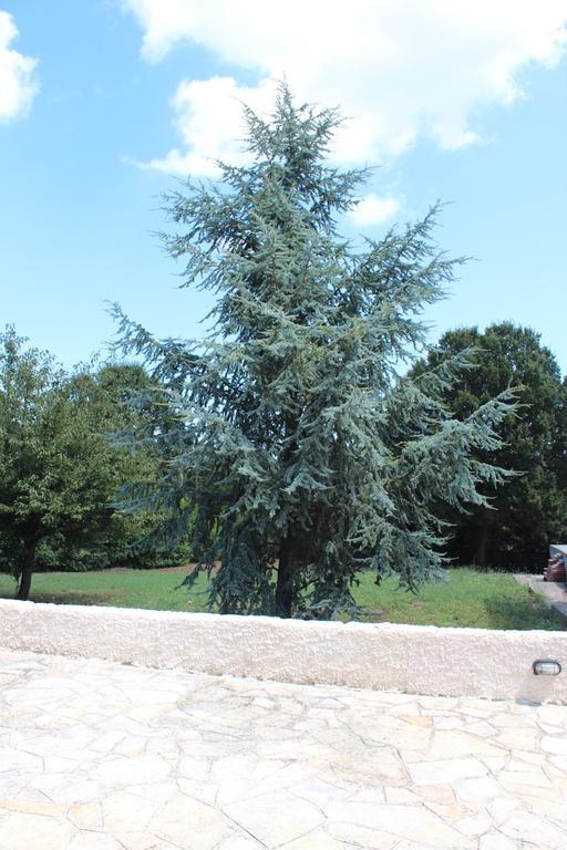 Villa Apollonia B&B Монополи Экстерьер фото