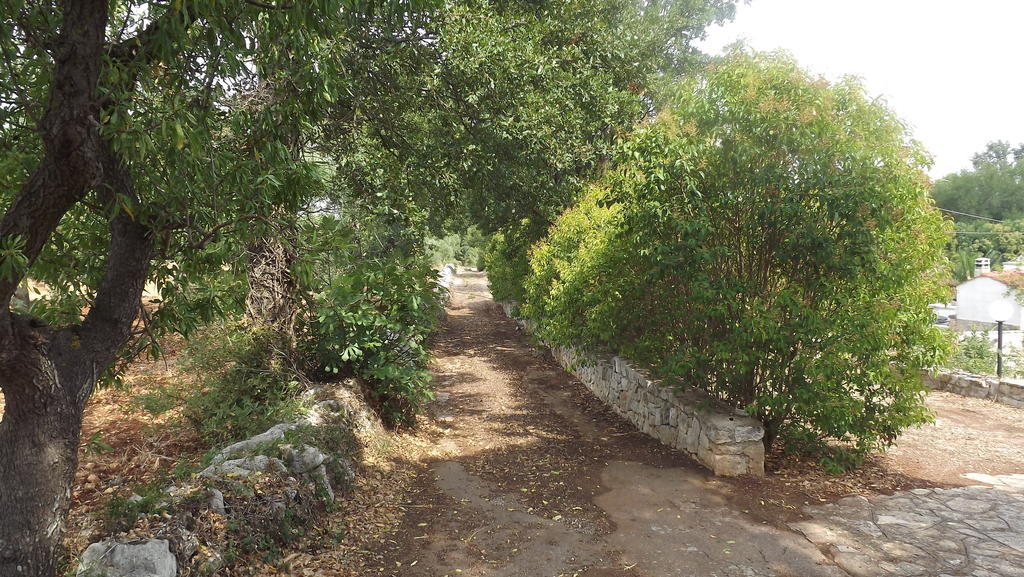 Villa Apollonia B&B Монополи Экстерьер фото
